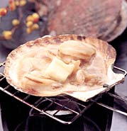 �ق��Ẵo�^�[��